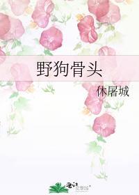 野狗骨头晋江