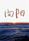 向阳而生英文