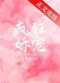 绝对宠妻介绍