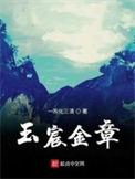 玉宸金章顶点笔趣阁