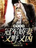 重生之九零军长俏娇妻
