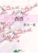 醋酸泼尼松片的作用与功效