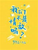 我们不是情敌吗免费阅读