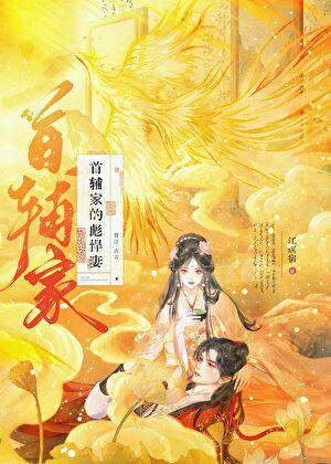 首辅家的娘子