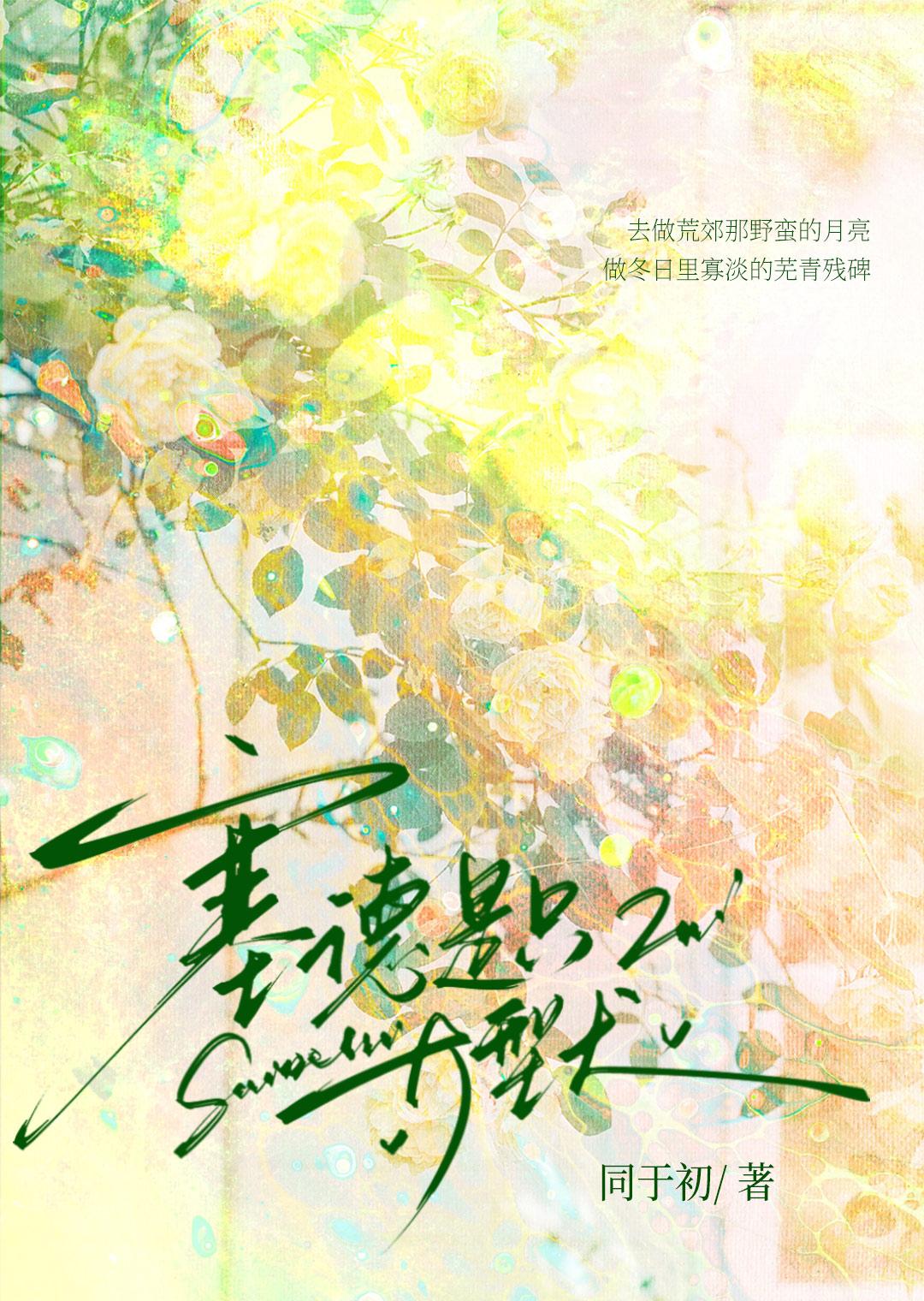 塞德兹是谁