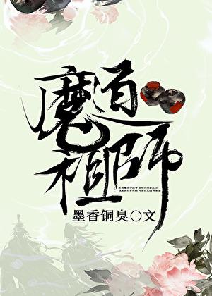 魔道祖师什么时候出的