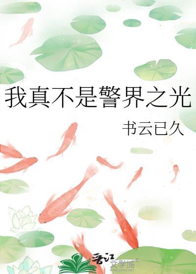 我真不是警界之光TXT
