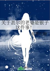 关于甚尔的老婆是银子这件事