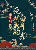 重生后我成为了死对头的白月光