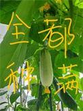 把修真界种满后 啃好大个瓜