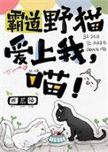 霸道小猫咪