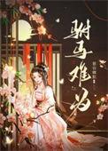 驸马难追