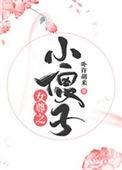 女尊之小傻子全文