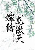 嫁给龙傲天 张起源