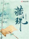 藏珠免费阅读全文