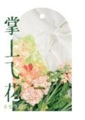 掌上飞花附带番外