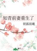 知青前妻重生了铃溪 免费阅读全文