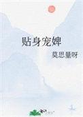 贴身宠婢TXT免费