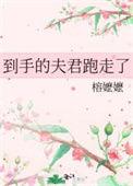 到手的夫君跑走了TXT