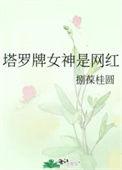 塔罗牌女神是网红牌吗