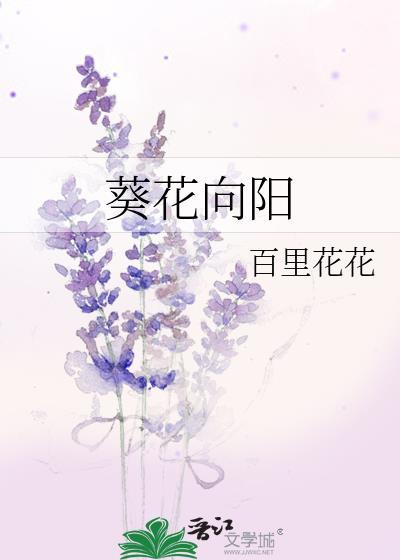 葵花向阳的图片