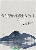 我在原始部落生存的日子菜种子格格党