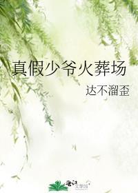 真假少爷火葬场达不溜歪讲的什么