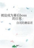 被迫成为幕后boss的日常晋江