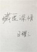 藏匿深情晋江