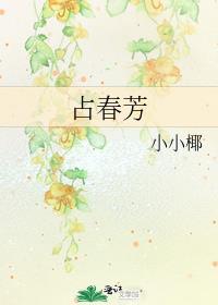 占春芳词牌格律