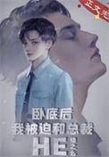 卧底后我意外把总裁掰弯了 桃之夭