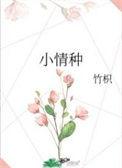 小情种txt