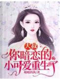 你暗恋的小可爱重生了盗版