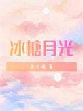 冰糖月光免费阅读