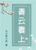 青云妻上免费阅读