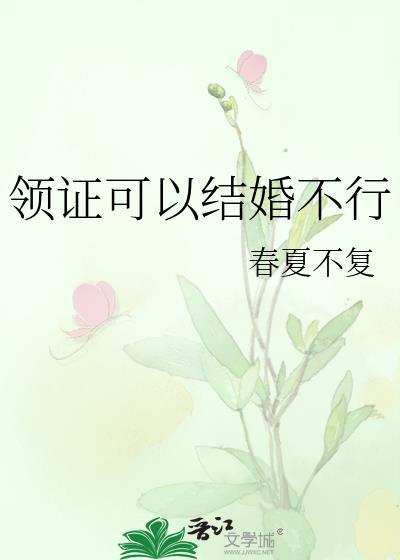 领证可以结婚不行番外