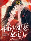 陆少宠妻又甜又暖免费阅读