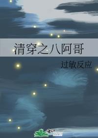 清穿八阿哥福晋