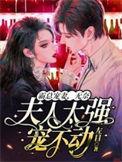 霸宠总裁夫人