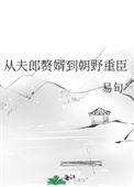 从夫郎赘婿到朝野重臣最新章节