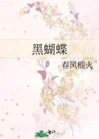 黑蝴蝶电视剧