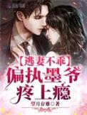 墨少宠小逃妻免费版