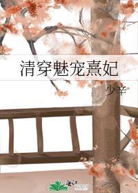 清穿魅宠熹妃婉柔笔趣阁