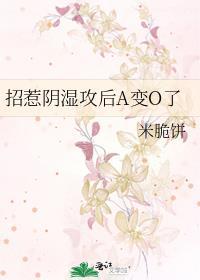 招惹p