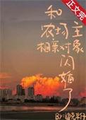 我与农场主的那些日子