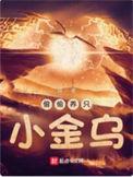 偷偷养只小金乌txt精校版