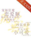 偏爱人间烟火原唱完整版