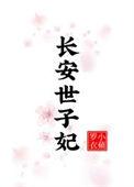 一世长安齐子书