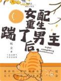 年代文女配重生后踹了男主百度