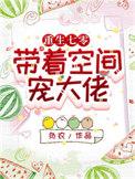 重生七零之带着空间去种田